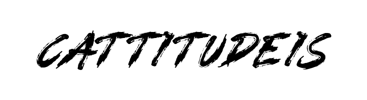 MONSTERA  Free Fonts Download