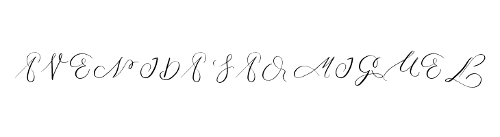 MONOGRAM X  Free Fonts Download