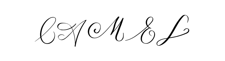 MONOGRAM B  Free Fonts Download