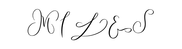 MONOGRAM V  Free Fonts Download