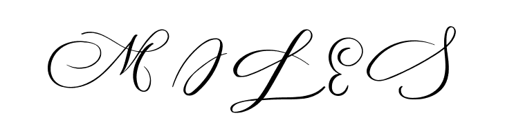 MONOGRAM R  Free Fonts Download