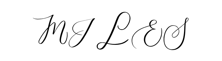 MONOGRAM O  Free Fonts Download