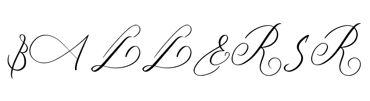 MONOGRAM Y  Free Fonts Download