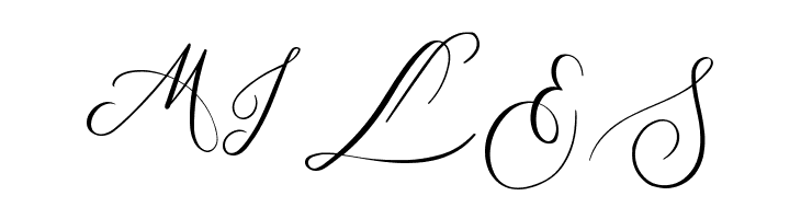 MONOGRAM S  Free Fonts Download