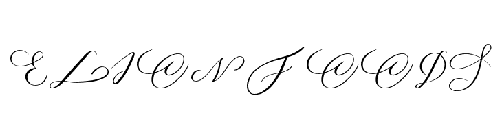 MONOGRAM C  Free Fonts Download