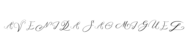 MONOGRAM D  Free Fonts Download