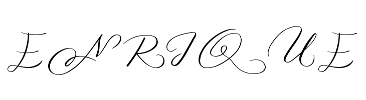 MONOGRAM D  Free Fonts Download