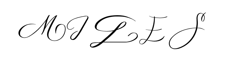 MONOGRAM D  Free Fonts Download