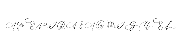 MONOGRAM N  Free Fonts Download