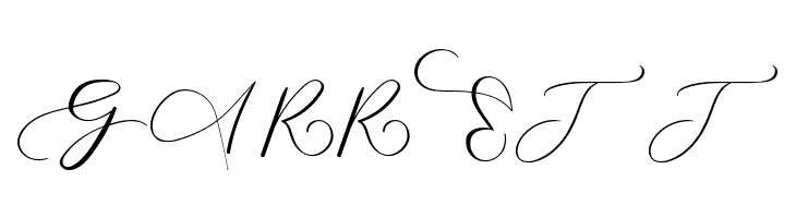 MONOGRAM N  Free Fonts Download