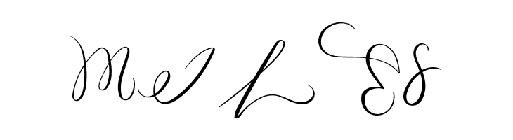 MONOGRAM N  Free Fonts Download