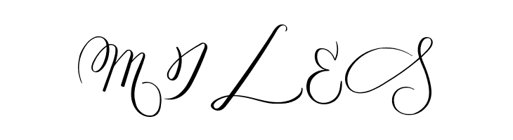 MONOGRAM E  Free Fonts Download