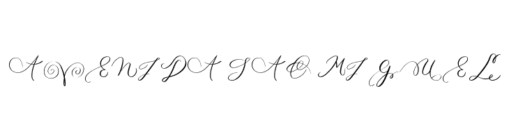 MONOGRAM P  Free Fonts Download