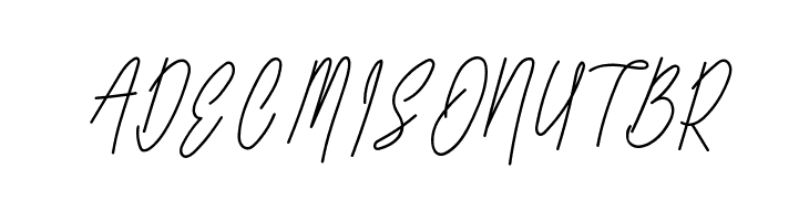 Long Liner Regular Script  Free Fonts Download