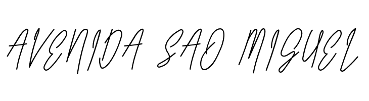 Long Liner Regular Script  Free Fonts Download