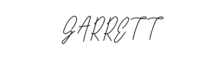 Long Liner Regular Script  Free Fonts Download