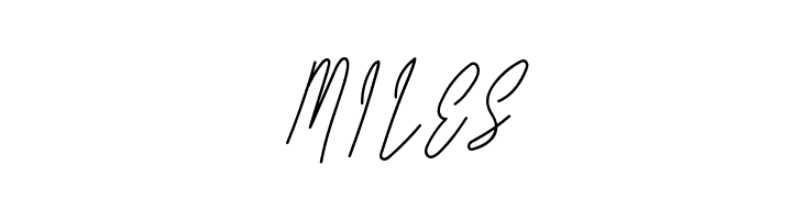 Long Liner Regular Script  Free Fonts Download