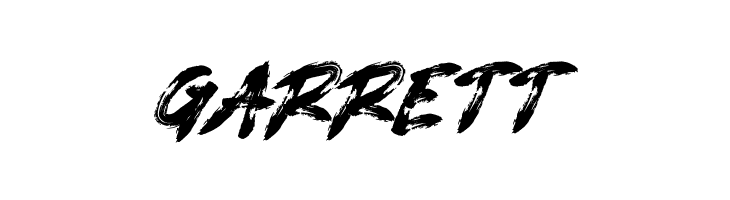 GINGERS  Free Fonts Download