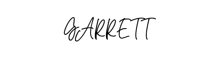 Noah Letter  Free Fonts Download