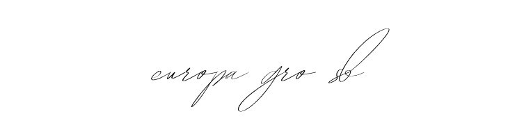 HegomoniSignature  Free Fonts Download