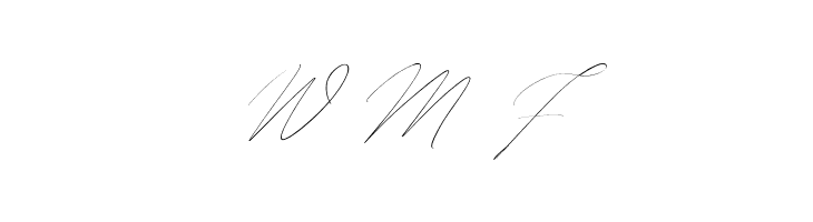 Hegomoni Signature  Free Fonts Download