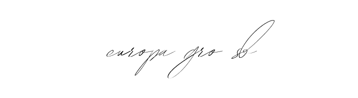 Hegomoni Signature  Free Fonts Download