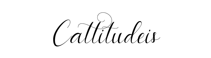 instastory script  Free Fonts Download