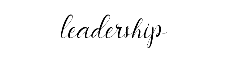 instastory script  Free Fonts Download