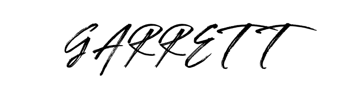 BRUSHTANGSE  Free Fonts Download