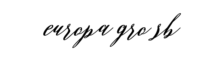 Evelyne Script  Free Fonts Download