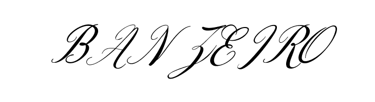 Designest  Free Fonts Download