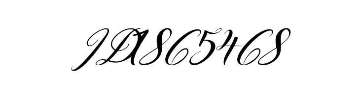 Designest  Free Fonts Download