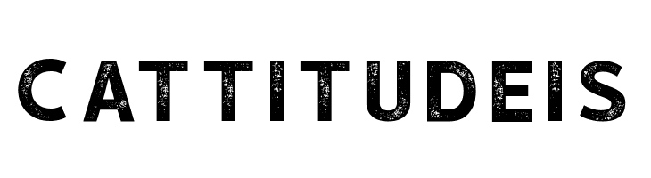 hustle 5 Regular  Free Fonts Download