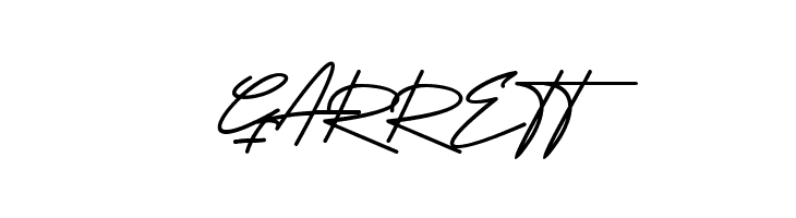 Attention Script  Free Fonts Download