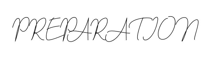 berlinsignature  Free Fonts Download