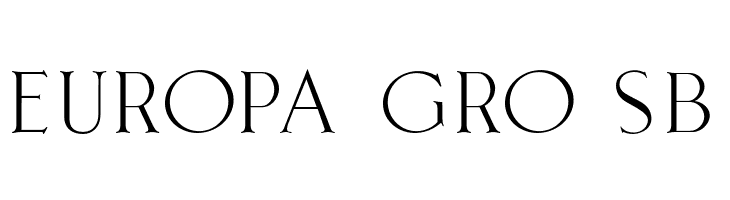 Leonetta-Serif  Free Fonts Download
