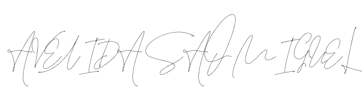 Leonetta Script  Free Fonts Download