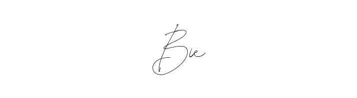 Leonetta Script  Free Fonts Download