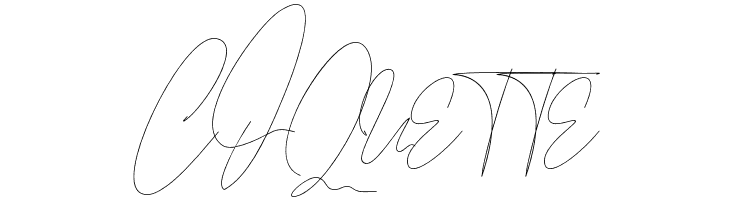 Leonetta Script  Free Fonts Download