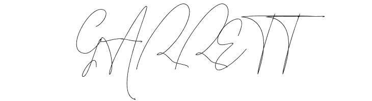 Leonetta Script  Free Fonts Download