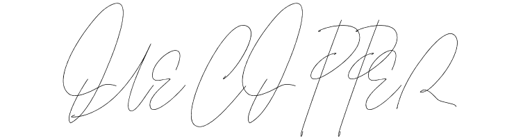 Leonetta Script  Free Fonts Download