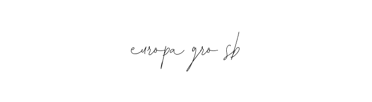 Leonetta Script  Free Fonts Download