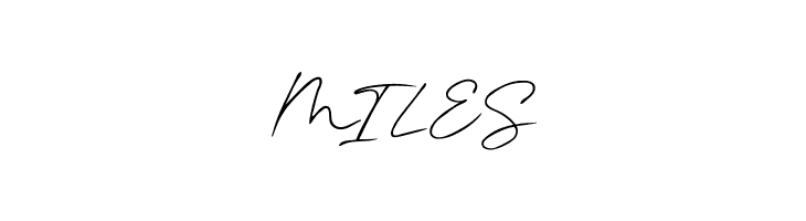 Contle Signature  Free Fonts Download
