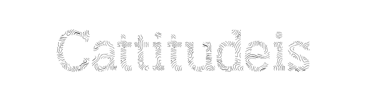 AustralSlabMaplines-Regular  Free Fonts Download