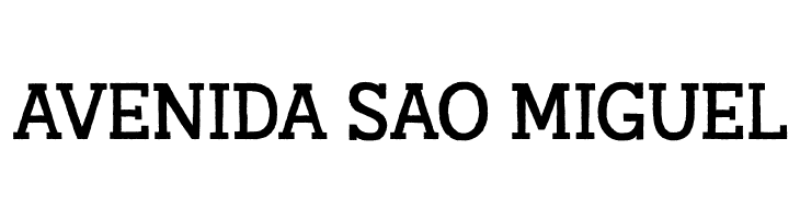 AustralSlabRough-Regular  Free Fonts Download