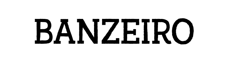 AustralSlabRough-Regular  Free Fonts Download