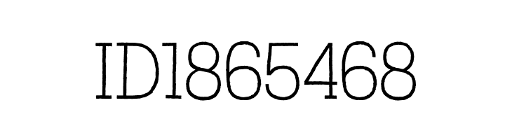 AustralSlabRough-Thin  Free Fonts Download