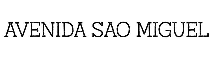 AustralSlabStamp-Light  Free Fonts Download