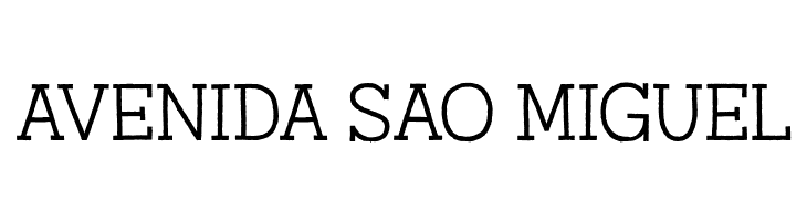 AustralSlabRough-Light  Free Fonts Download