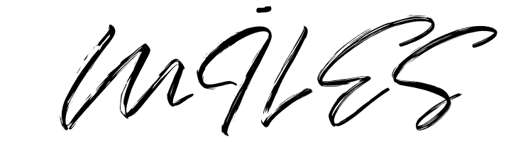 Domillion Brush Free  Free Fonts Download